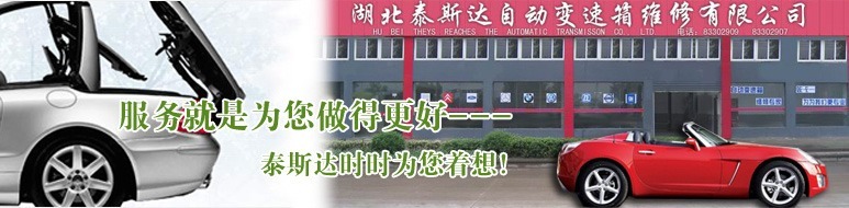 湖北泰斯达自动变速箱维修有限公司